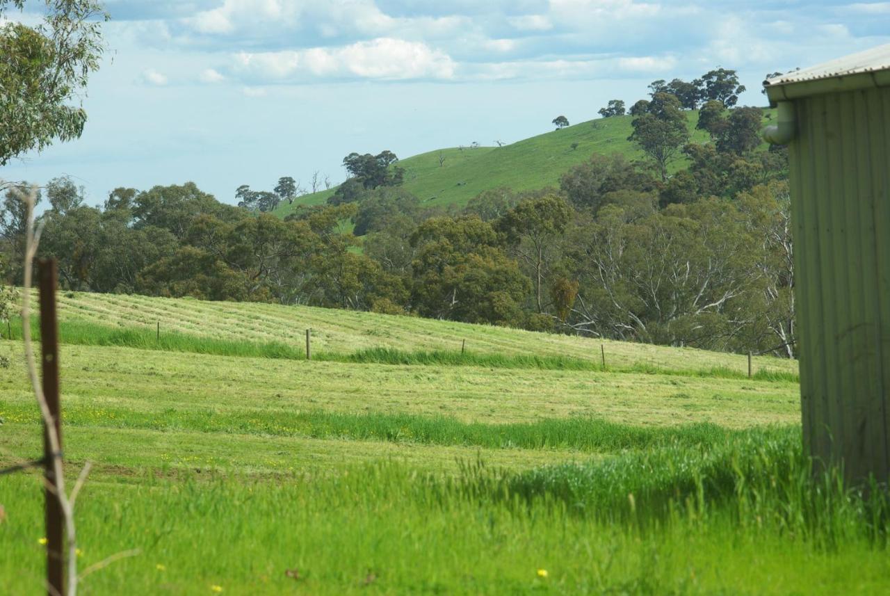 Battunga Cottages Watervale 外观 照片