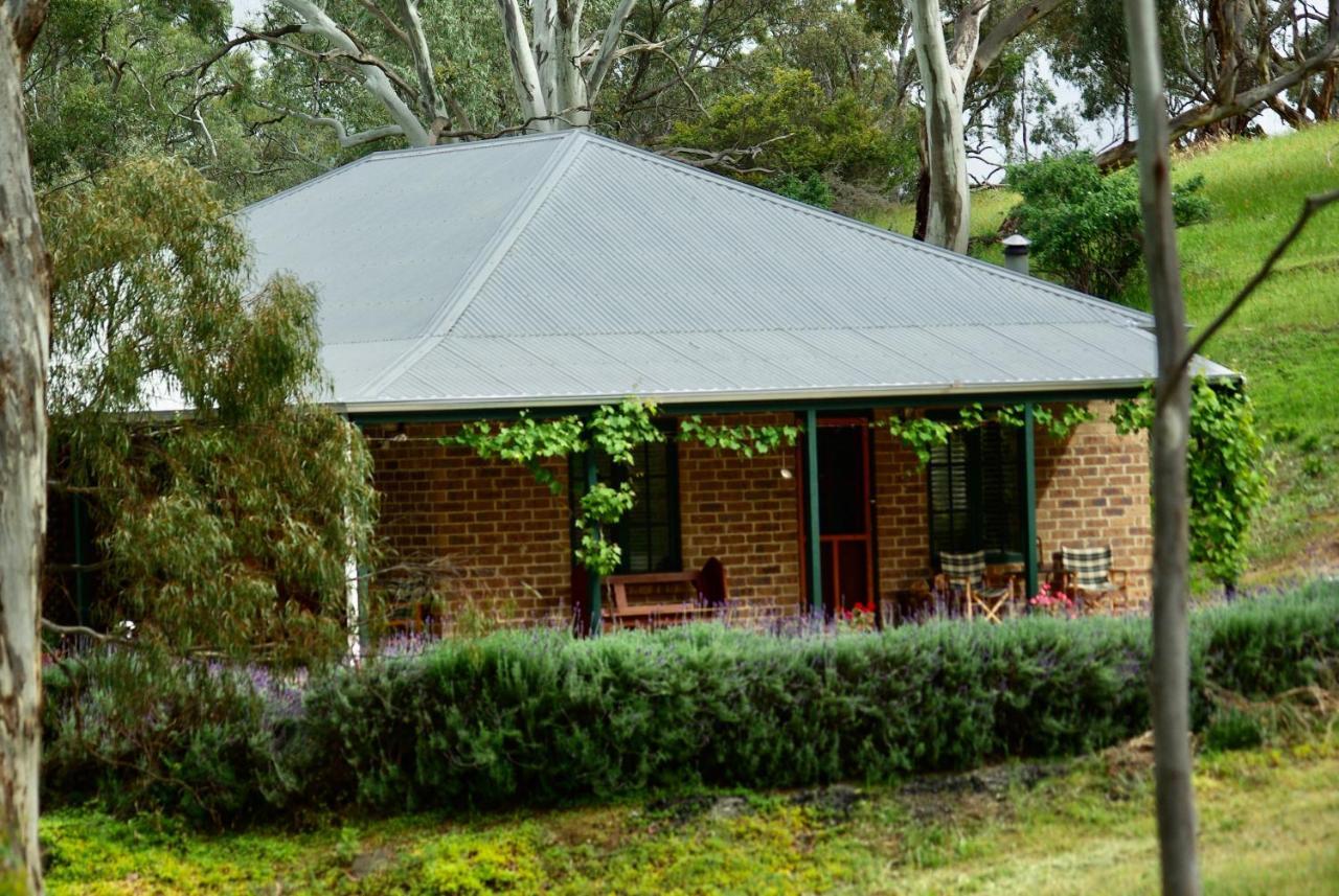 Battunga Cottages Watervale 外观 照片